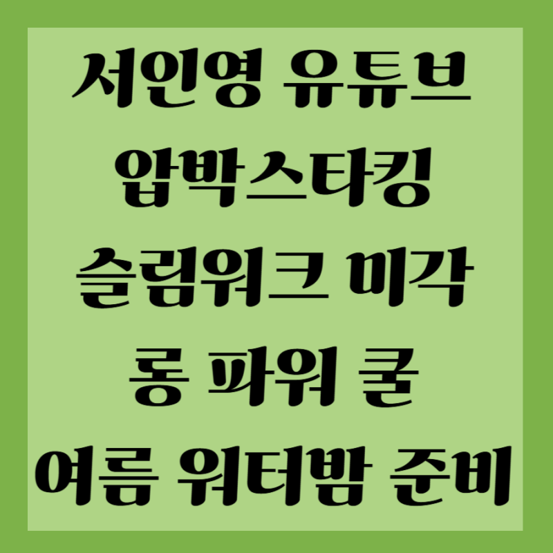 서인영 압박스타킹 슬림워크 쿨에어 수면용 파워 쿨 압착양말 라이트블루 색상 여름 워터밤 ....