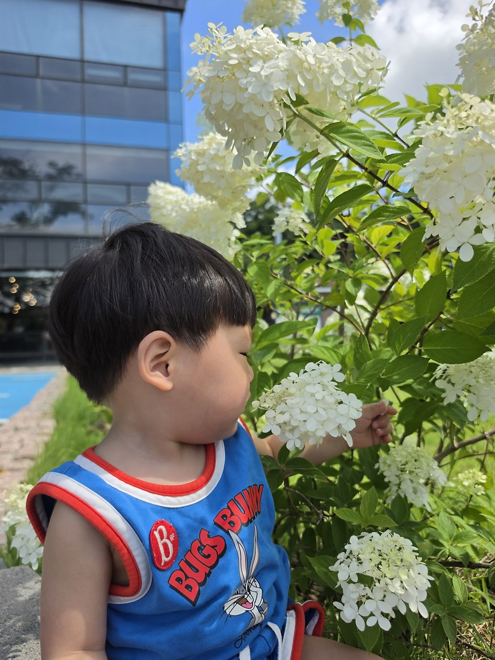 로빈포레스트 사진 5