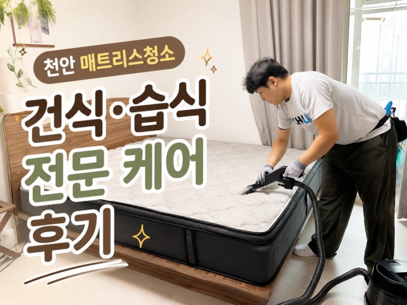 천안 매트리스청소 비치움 클린하게, 6년 사용한 시몬스 침대 청소 후기