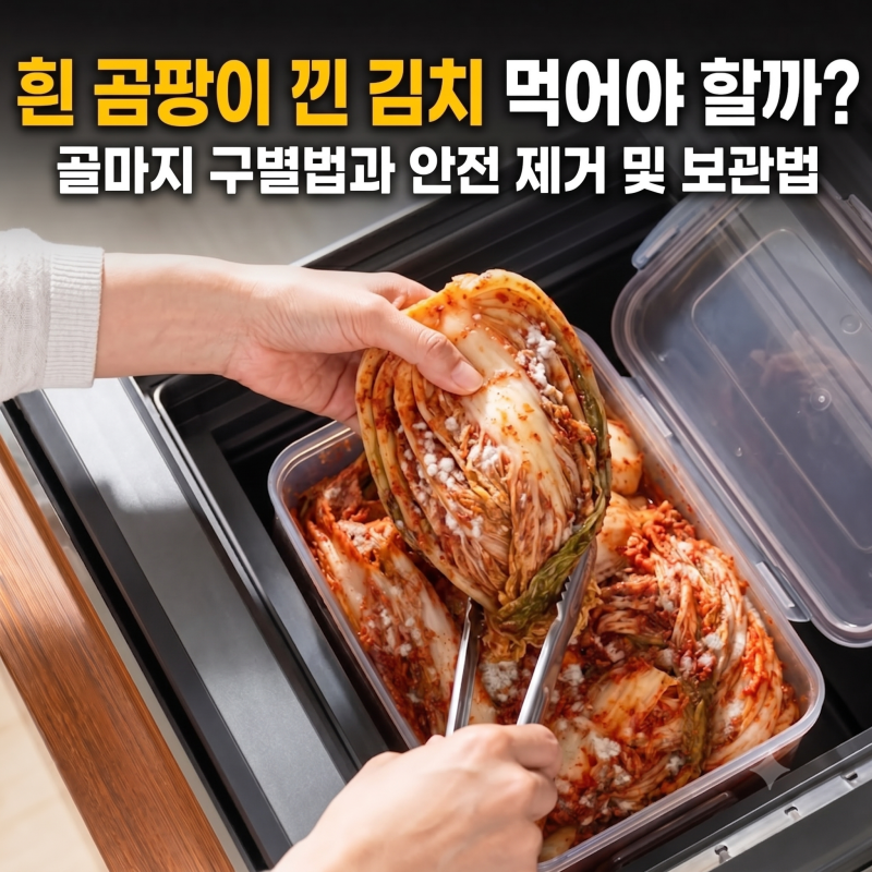 김치 하얀곰팡이 정체 김치 골마지? 독성 유무와 안전하게 씻어 먹는 법