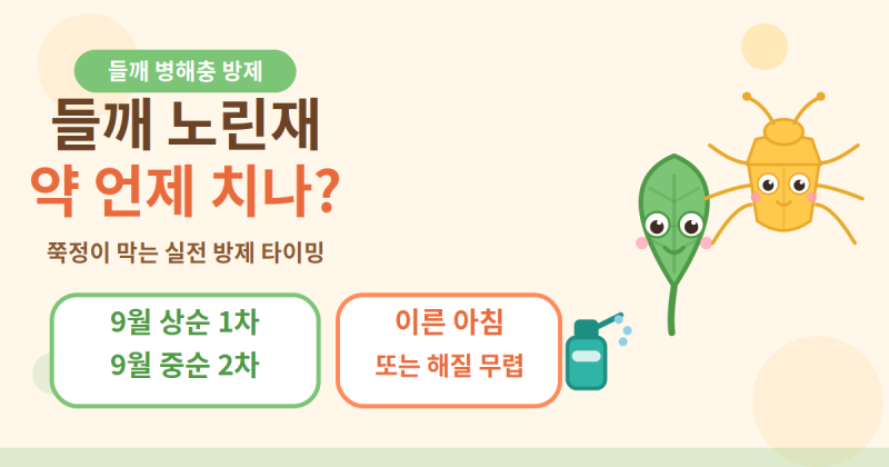 들깨 노린재 약 치는 시기, 언제가 딱일까? (실제 밭에서 통하는 방제 타이밍)