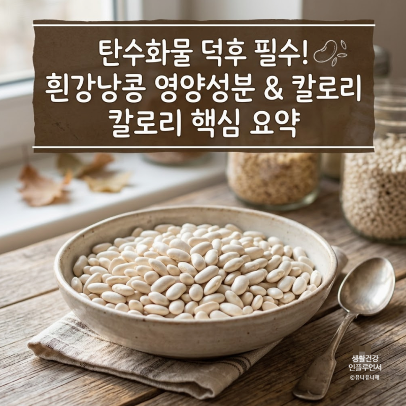 흰강낭콩 효능, 다이어트에 정말 도움될까? 영양성분, 칼로리 정리