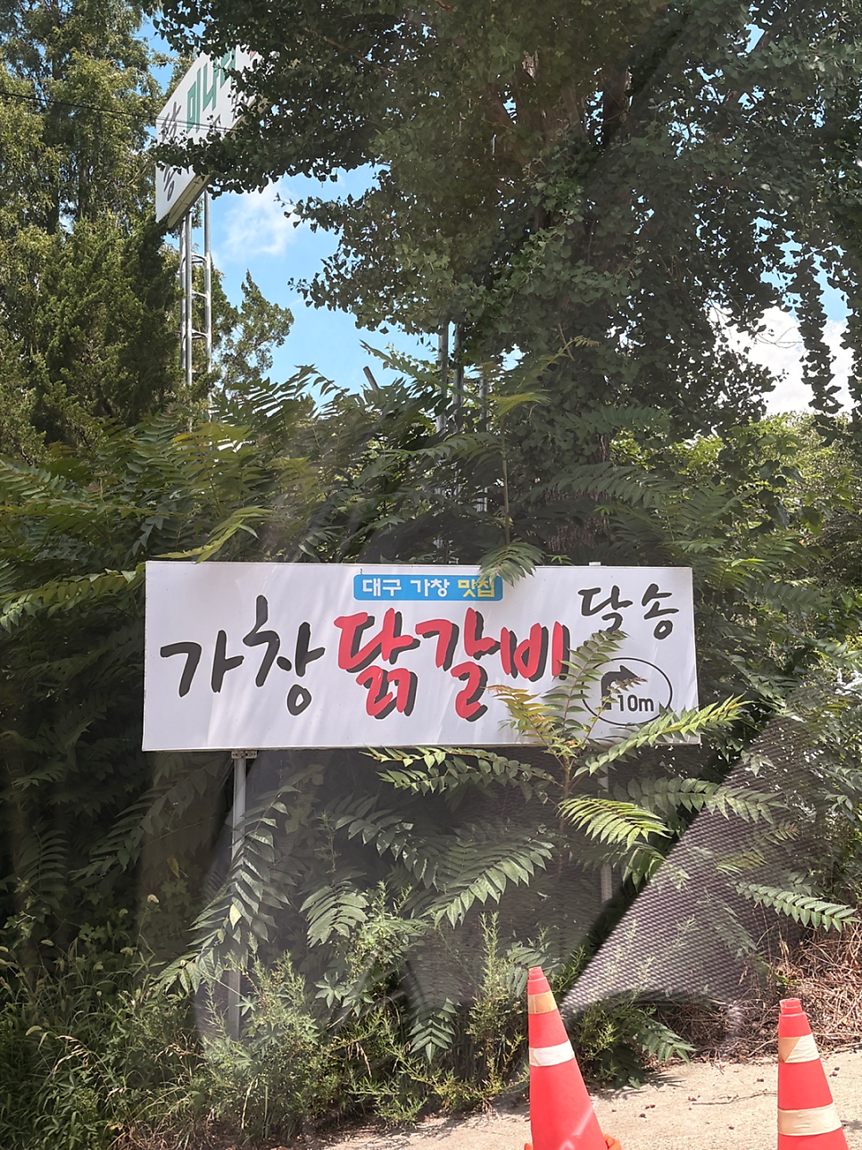 달송 사진 2