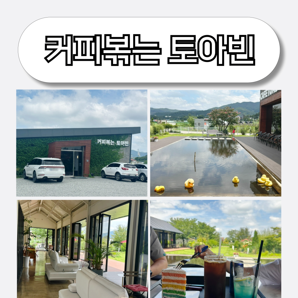 토아빈 사진 1