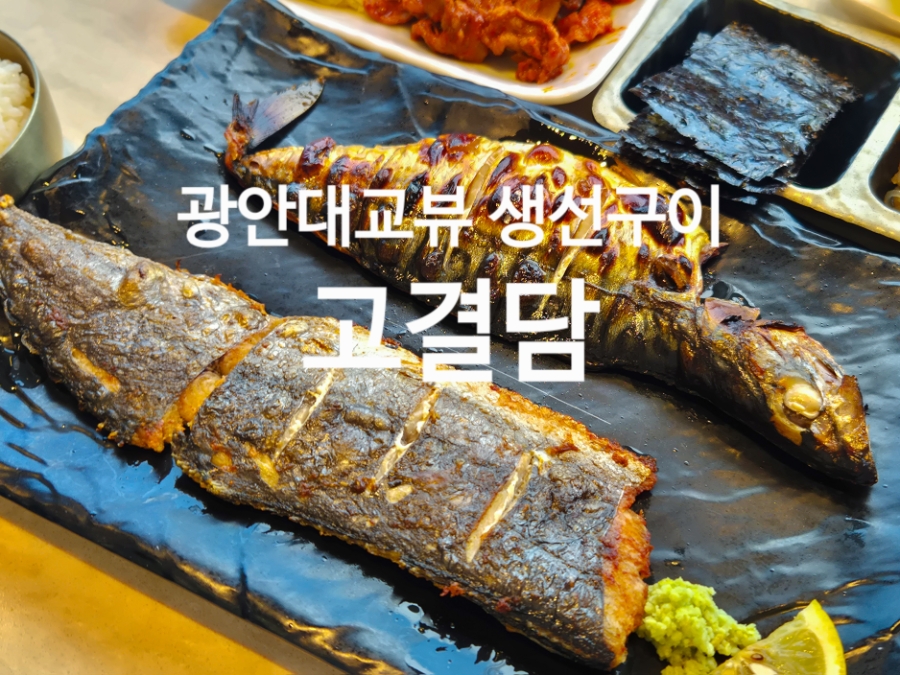 고결 사진 1
