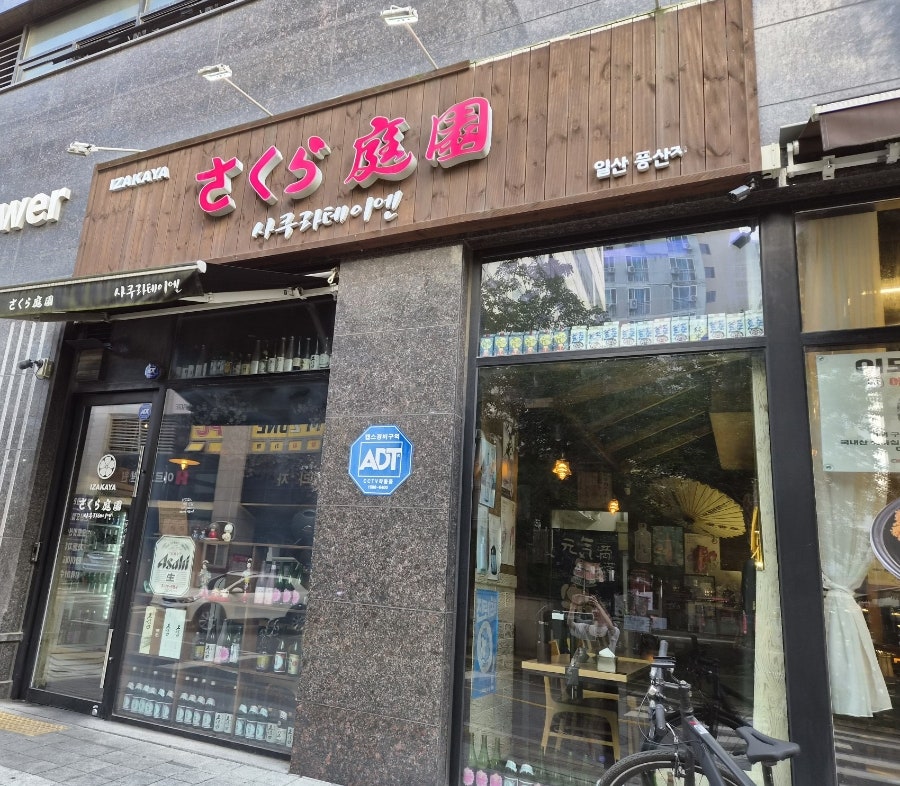 사쿠라 사진 1