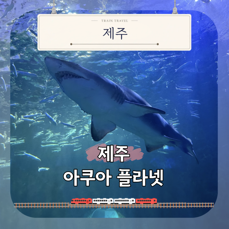 아이랑 제주 아쿠아플라넷 가기 전 할인 공연시간 동선 팁