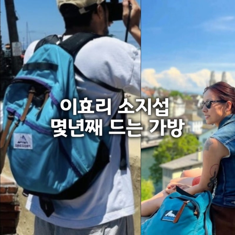 이효리·소지섭도 몇 년째 애용 중! 연예인 애착 가방 그레고리 백팩 정보