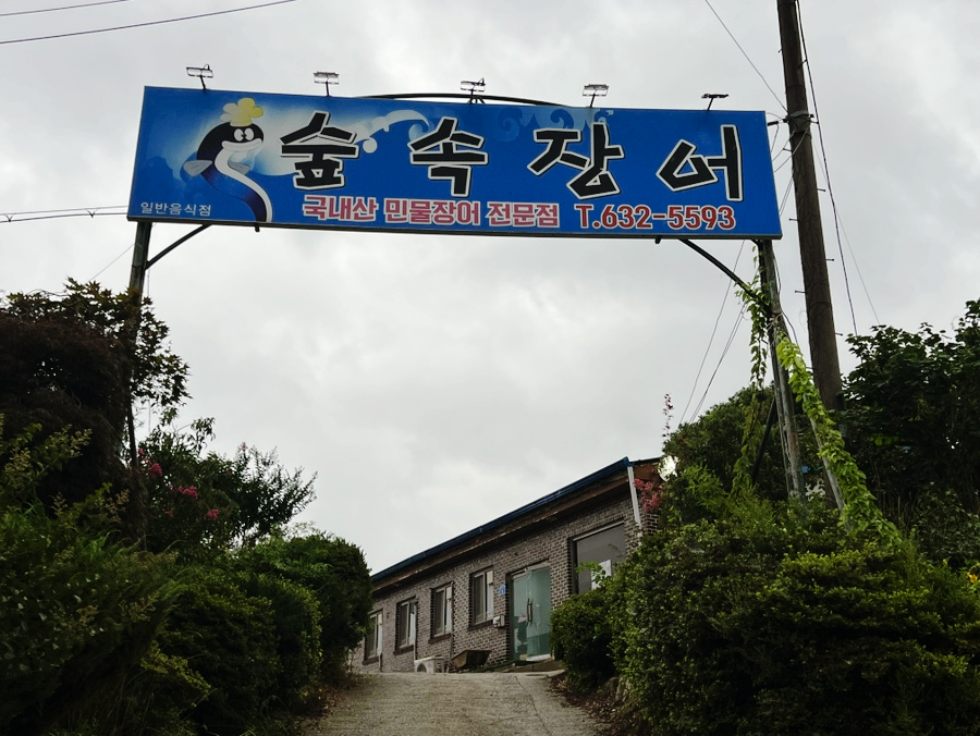 숲속장어 사진 1
