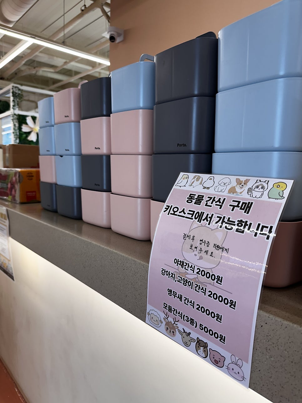 애니멀클럽 송도점 사진 6