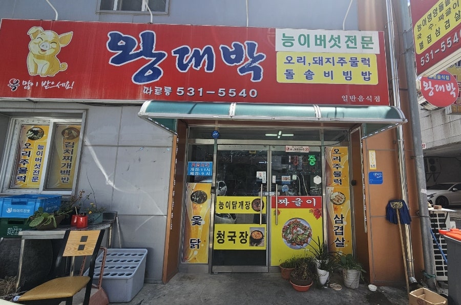 왕대박 사진 2
