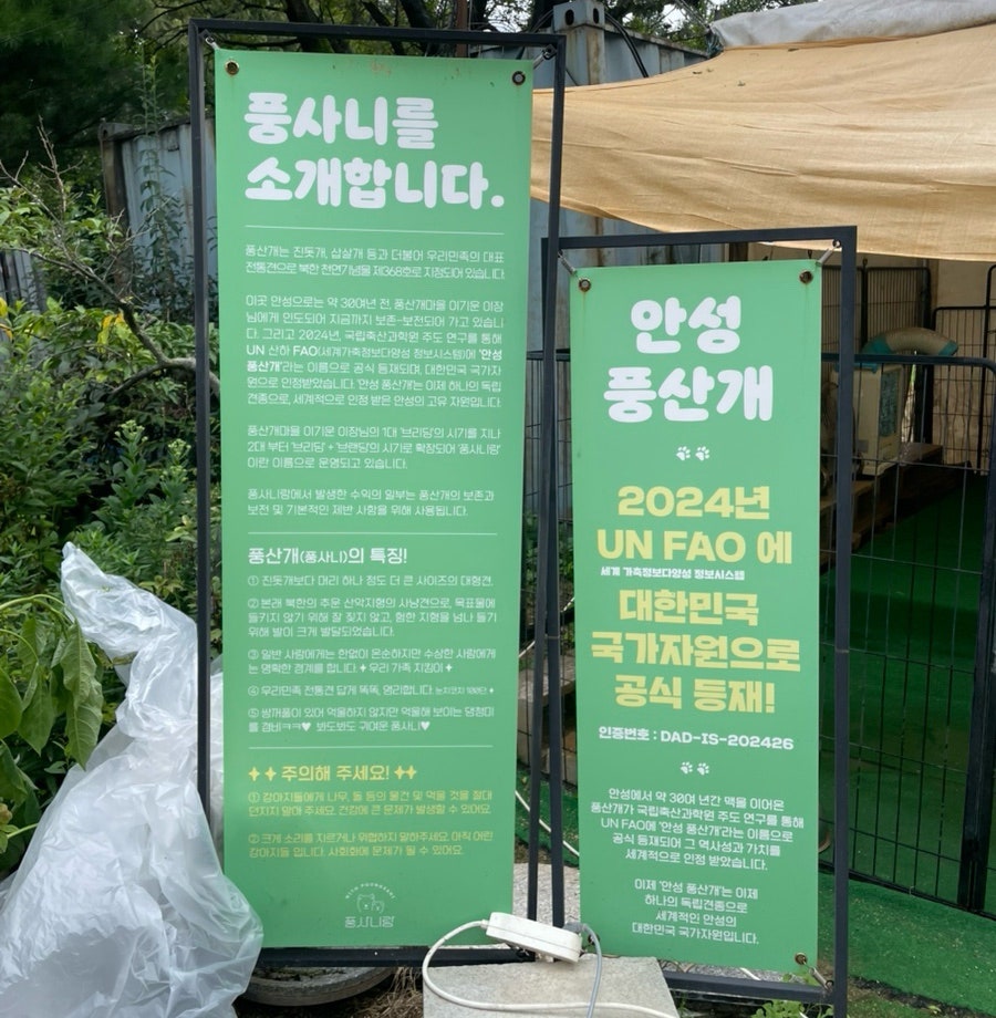 풍사니랑 사진 4