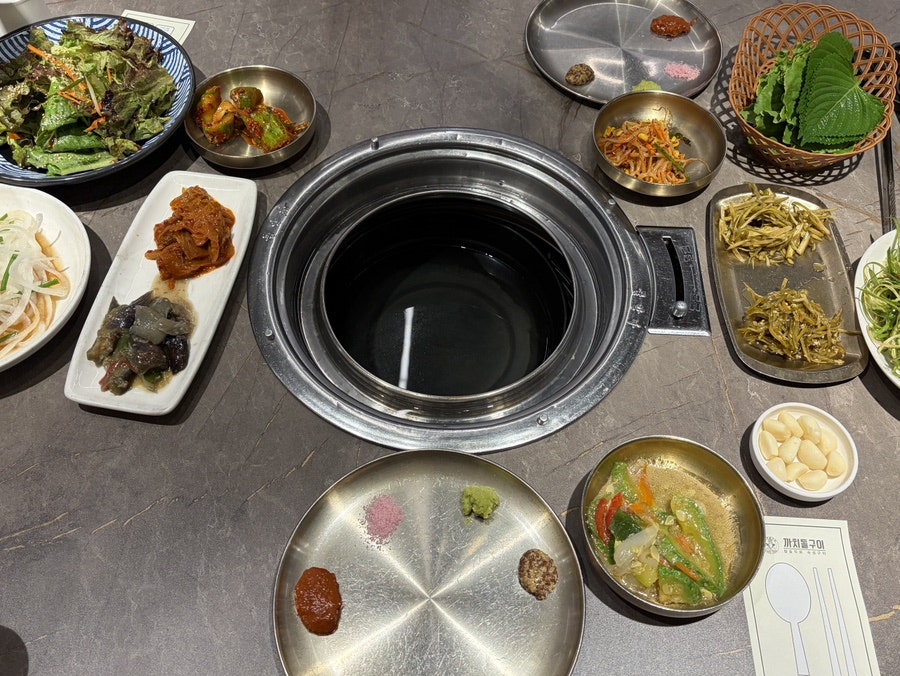 갈매기 사진 3