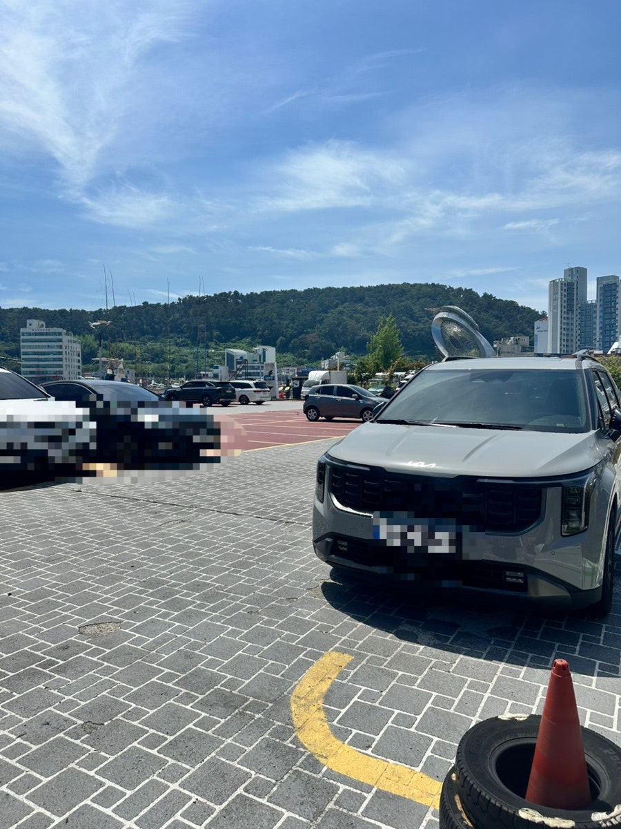 명물 사진 5