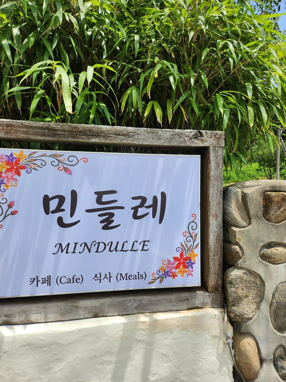 민들레 사진 5