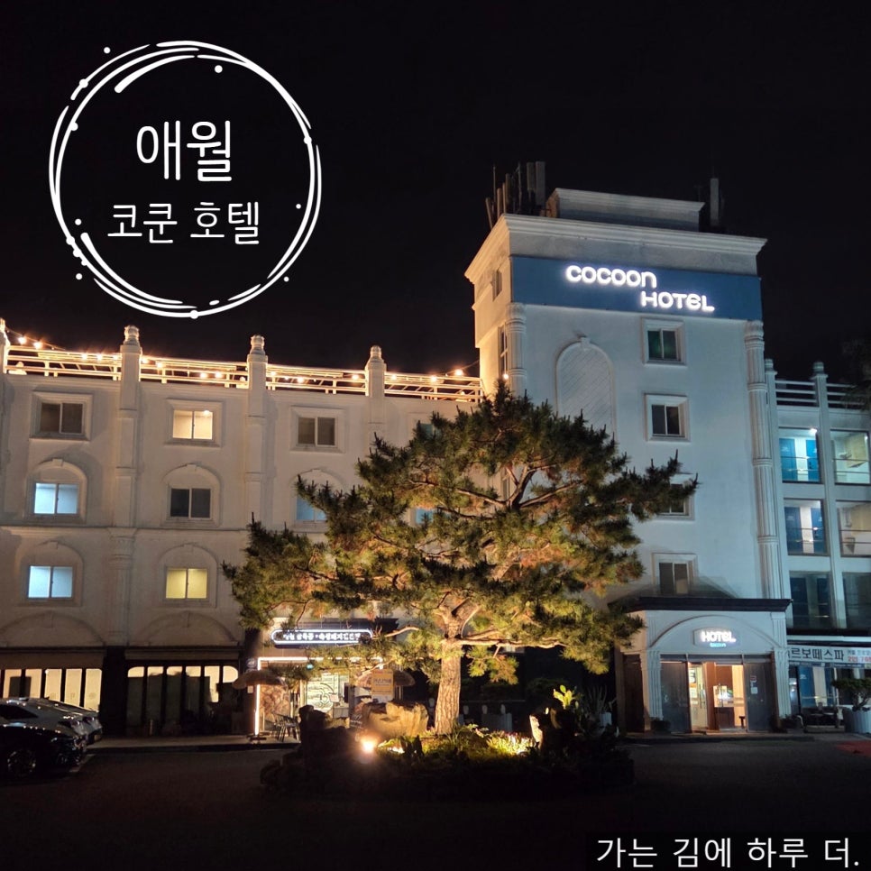 바다사랑그리고추억 사진 1