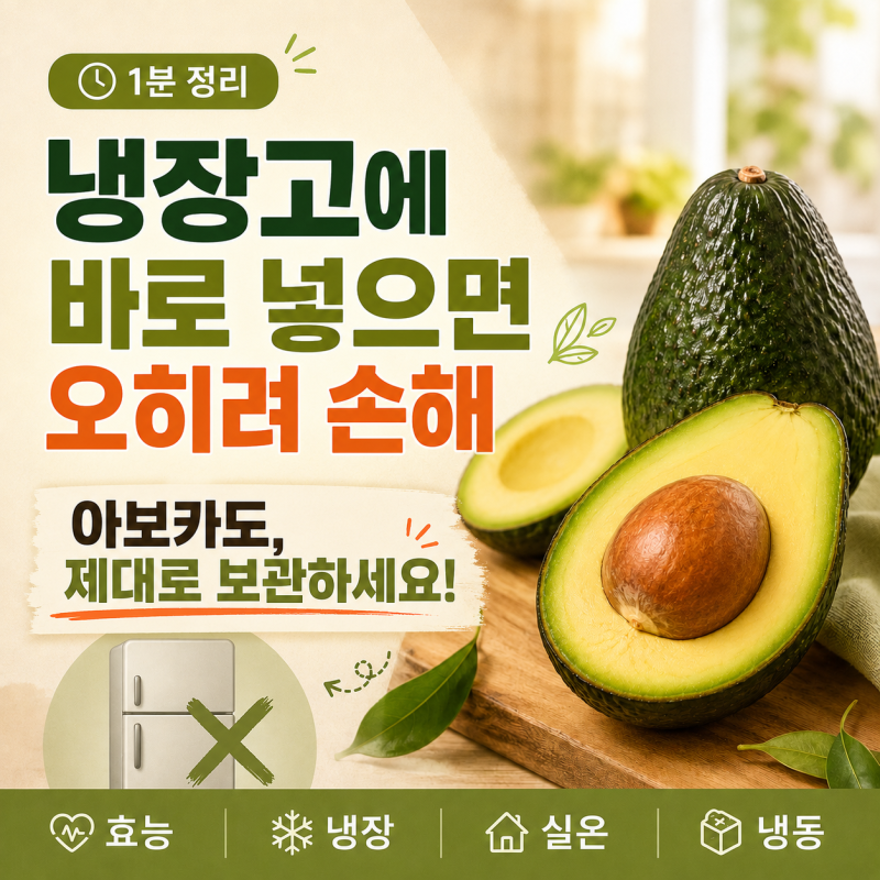 아보카도 효능 보관법 냉동 냉장 실온 1분컷 정리
