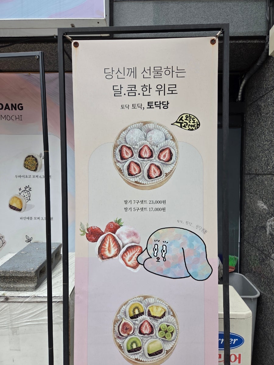 토닥당 사진 5
