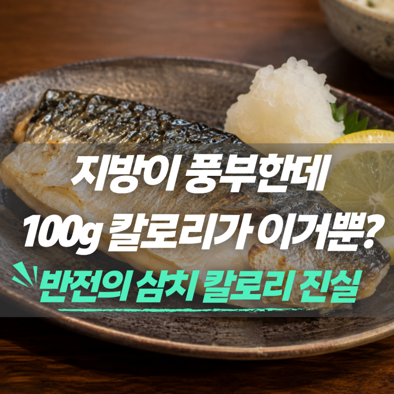 "지방이 풍부한데 100g당 칼로리가 이것밖에 안 된다고?"반전의 삼치 칼로리 진실