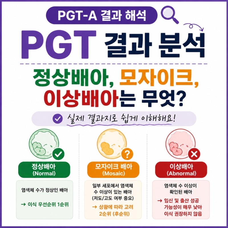 PGT-A 결과 해석｜정상배아, 모자이크, 이상배아 쉽게 이해하기