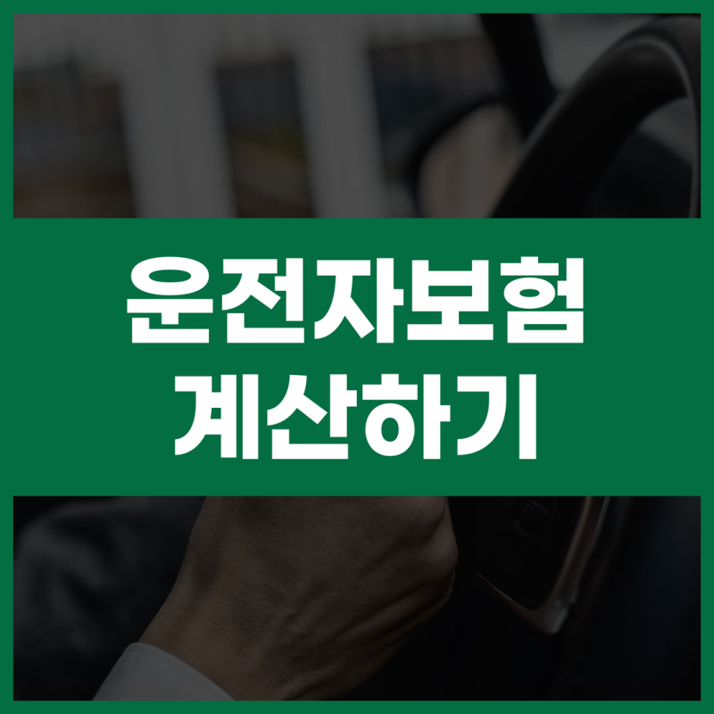 운전자보험 비교 사이트 필수 특약 보험료 보상범위 확인법