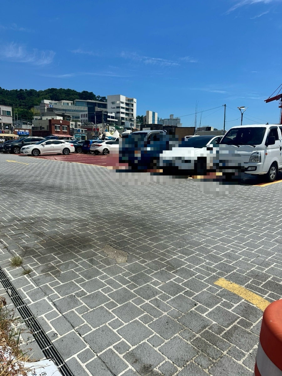명물 사진 4