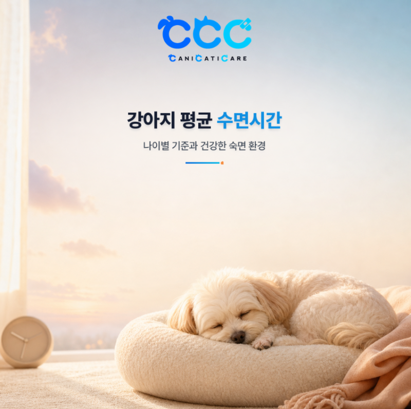 강아지 평균 수면시간, 수명에 영향 어떨까?