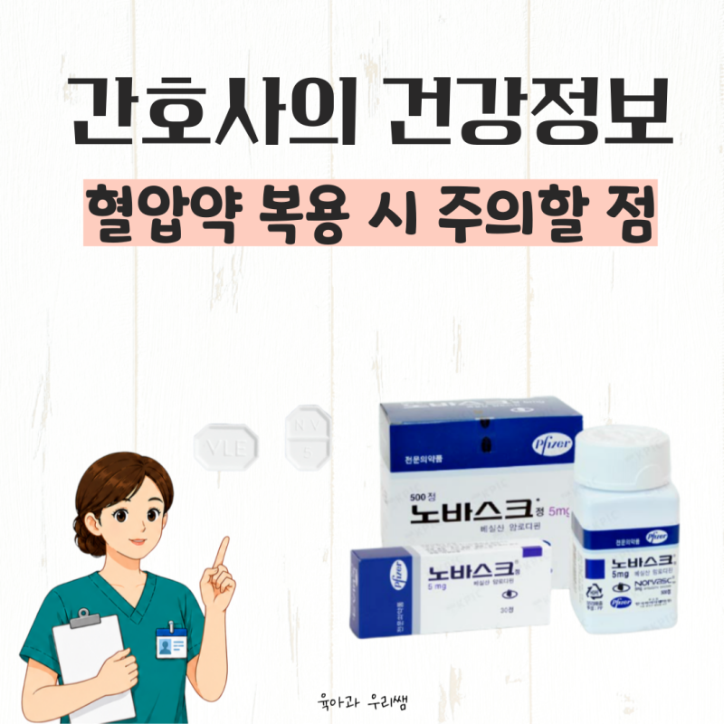 노바스크정 5mg 2.5mg 고혈압약 칼슘채널차단제 암로디핀 혈압약