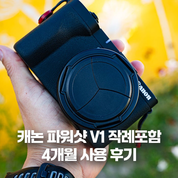 캐논 파워샷 v1 4개월 솔직 사용 후기 입문용 카메라 무보정 보정 작례