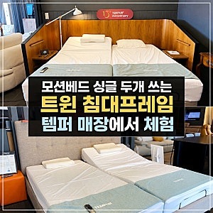 모션베드 싱글 두개 쓰는 트윈 침대프레임 템퍼 매장에서 제대로 체험하기