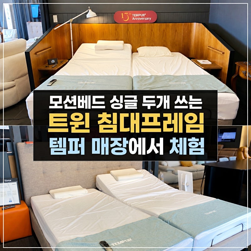 모션베드 싱글 두개 쓰는 트윈 침대프레임 템퍼 매장에서 제대로 체험하기