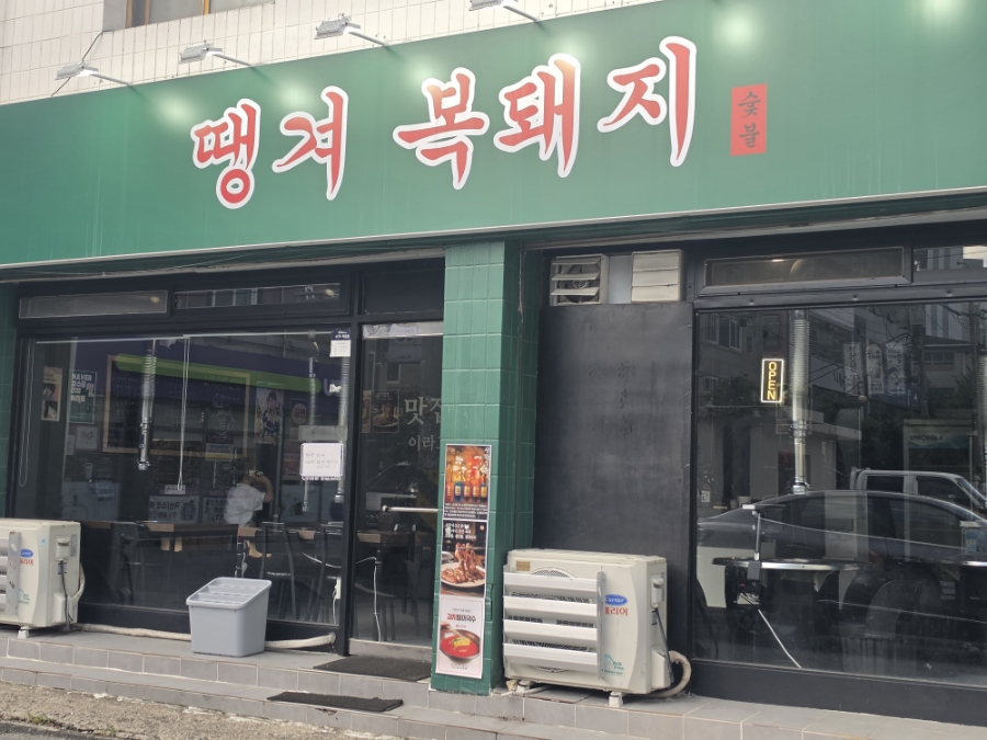 땡겨복돼지 사진 2
