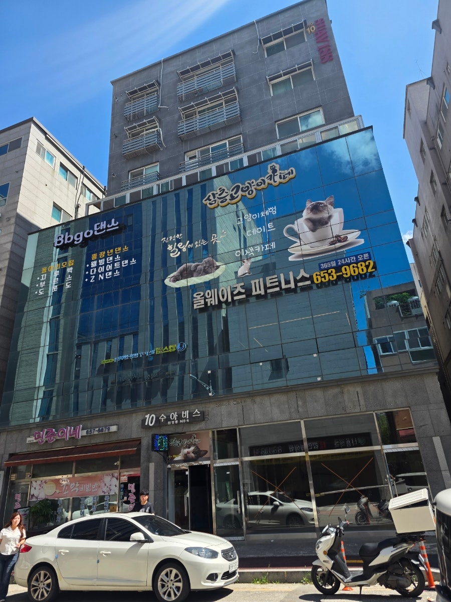 삼층고양이 사진 1