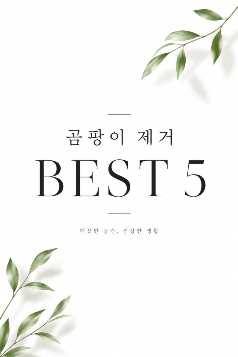 다이소 곰팡이 제거제 BEST 5❄️ 직접 써보고 추천하는 청소템✨✨