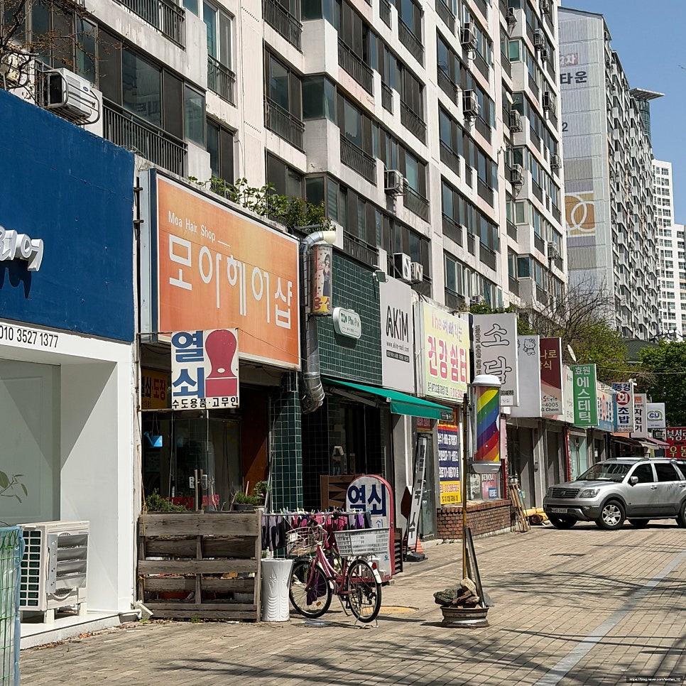 포포이 사진 2