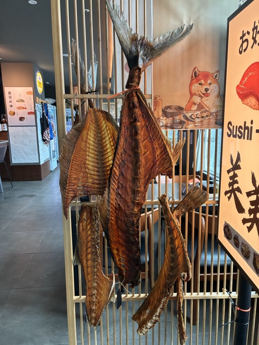스시 애월 사진 6