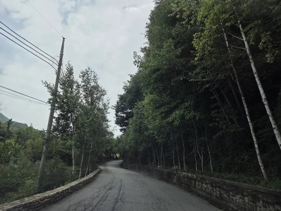 나인블럭 가평DT점 사진 1