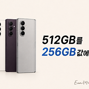 갤럭시 Z 폴드8 512GB인데 256GB 값인 이유, 더블스토리지 25만3000원 혜택