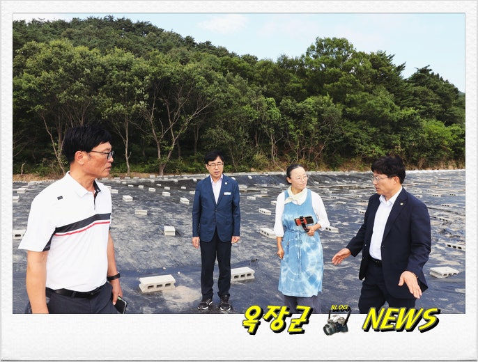 어울림 사진 1