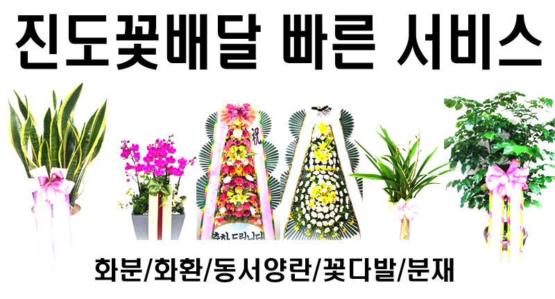 진도꽃집 사진 3