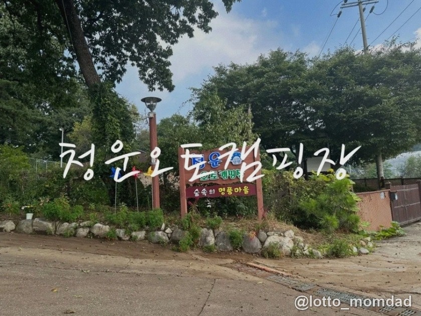 청운오토캠핑장 사진 2
