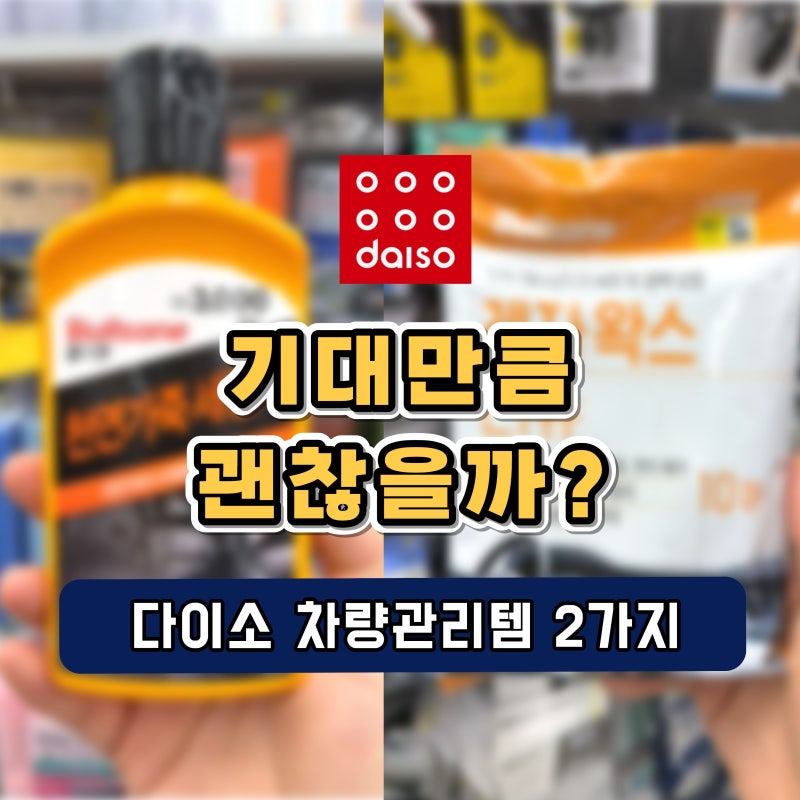 다이소 불스원 가죽 관리 2종, 차량 관리에 괜찮을까?