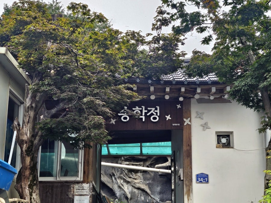 송학정 사진 1