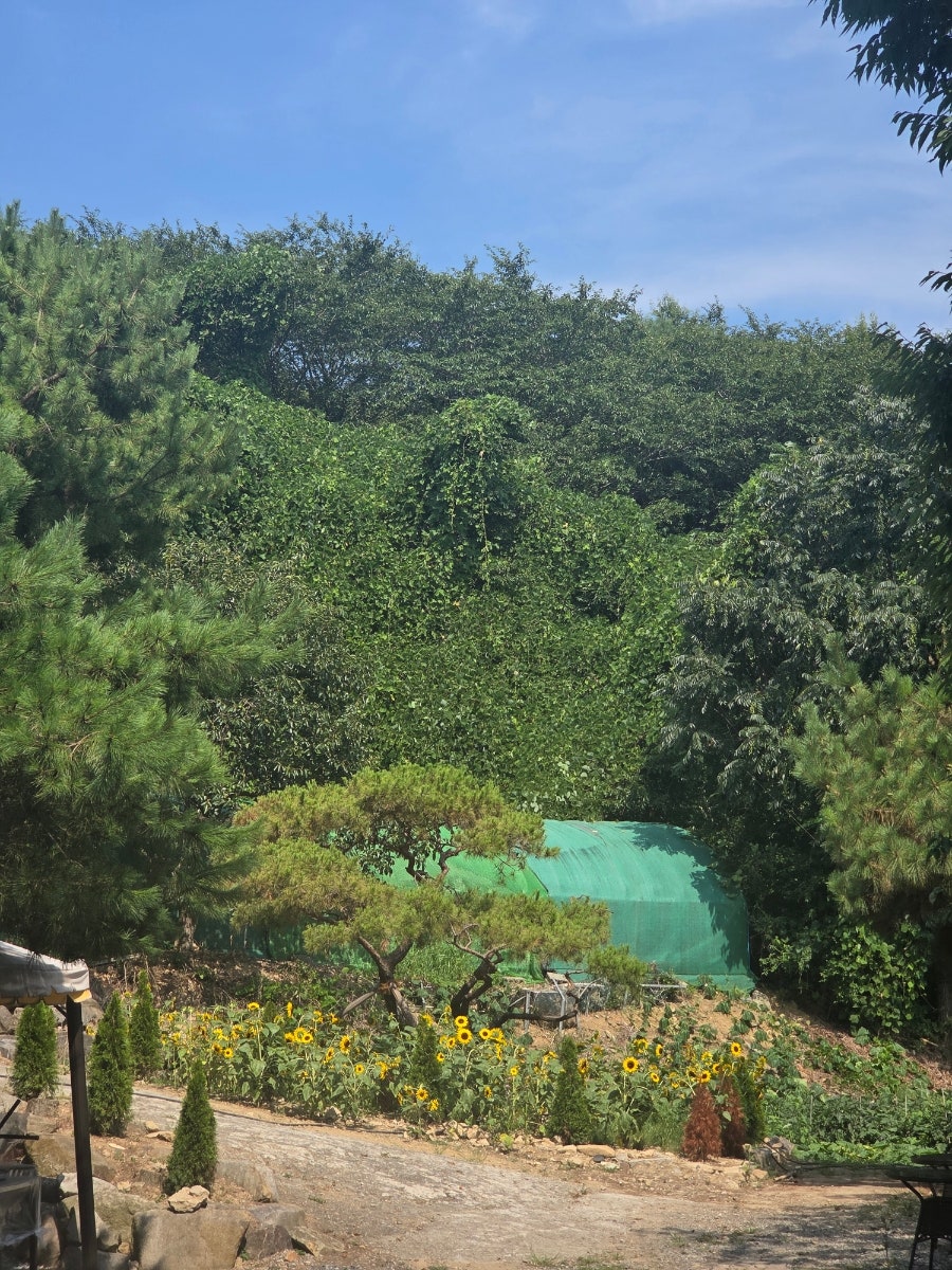 철마한우수목원 사진 6