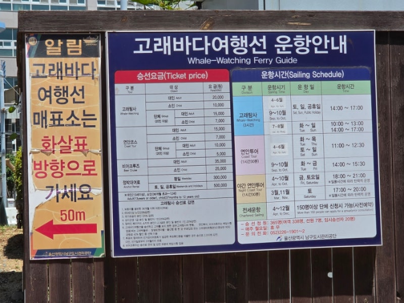 月光狐狸的日常：蔚山長生浦鯨魚村與單軌列車評論｜用蔚山快樂觀光卡充實享受