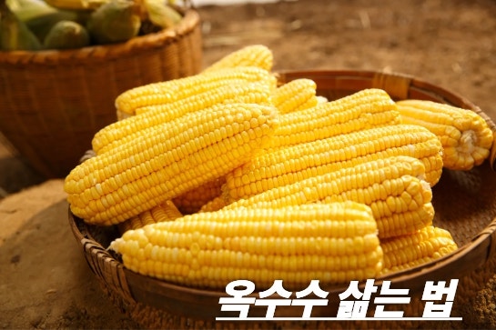 집에서 옥수수 삶는 법 꿀팁! (손질법/삶는 시간/효능/ 하루 섭취량)
