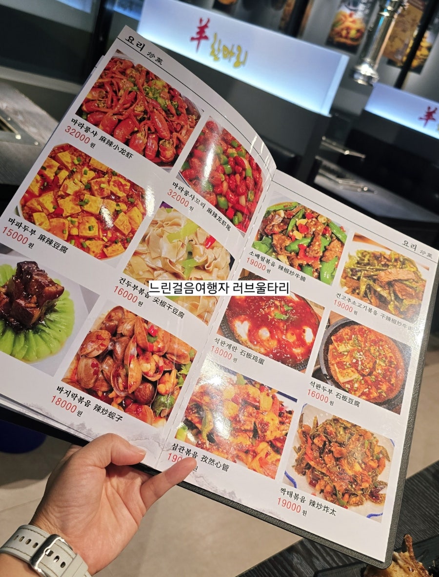 양한마리 사진 6