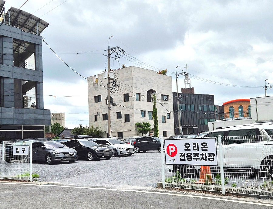 오리온 사진 2