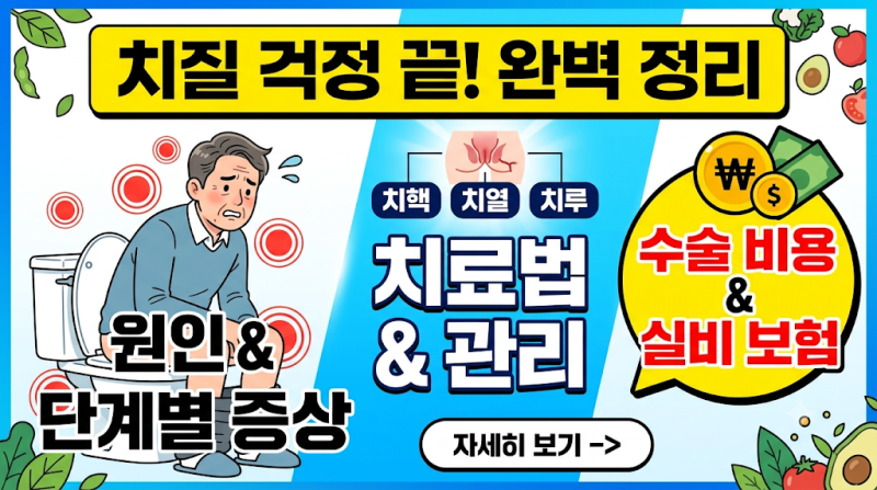 치질 원인부터 증상, 수술 비용 및 관리법 총정리 (2026 최신)