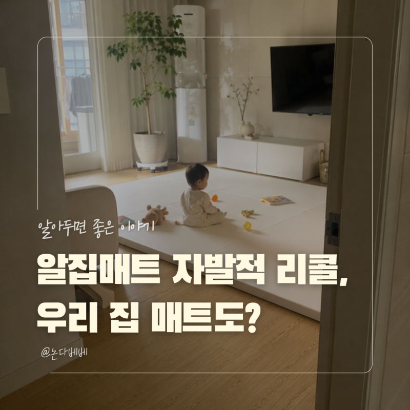 알집매트 리콜 TDI 검출, 대상 제품과 제조일자 확인 방법